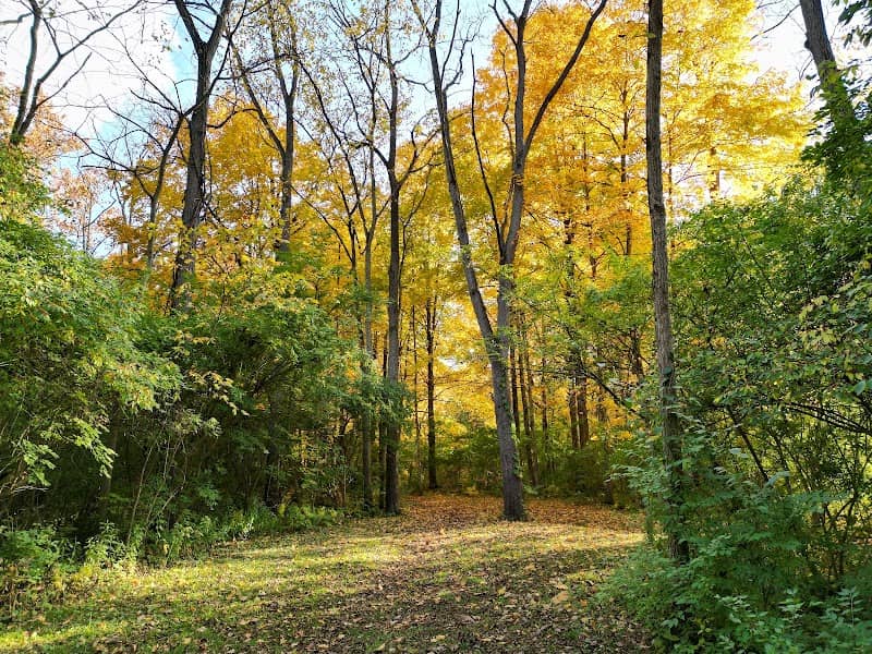 Curtiss Park - Image 2