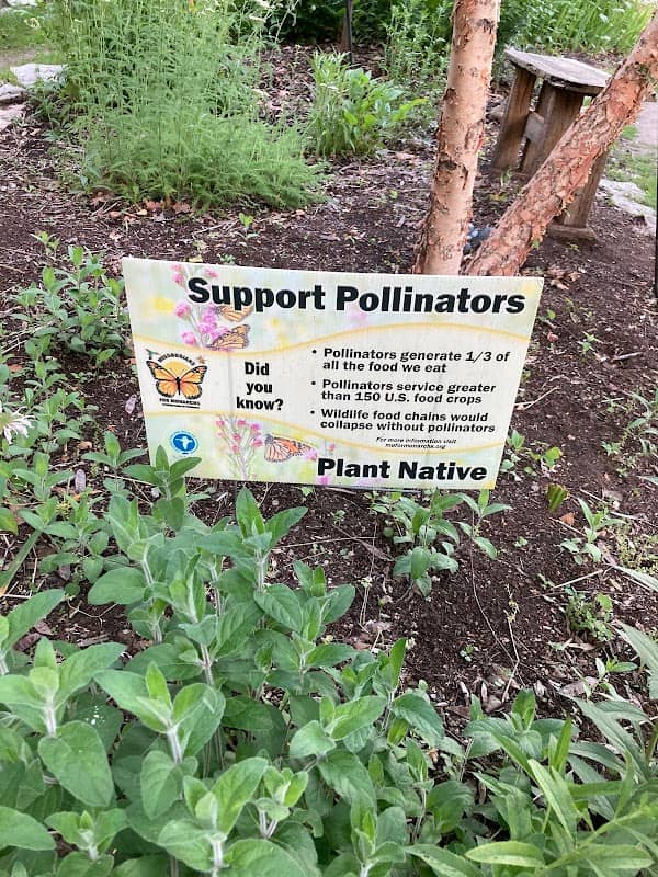 The naturalists’ native garden - Image 2