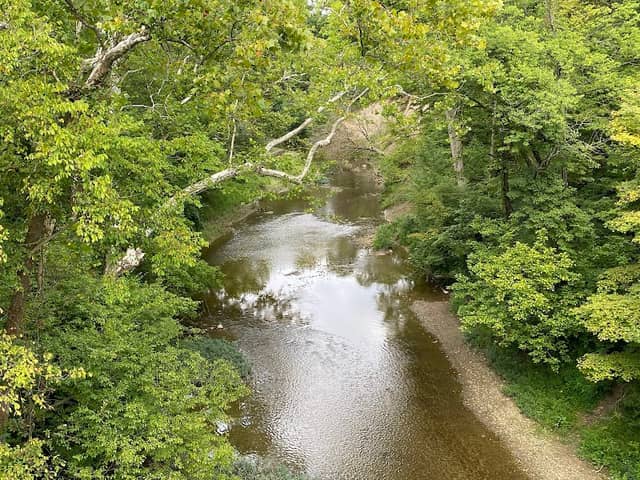 B&O Trail at SR267 - Image 1