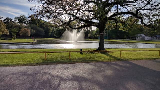 Zemurray Park - Image 2