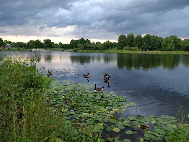Lake Artemesia Butterfly Garden - Image 1