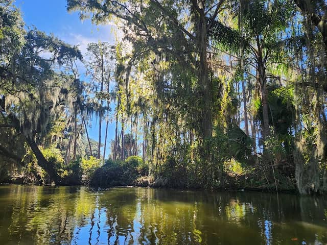 Summerall Park - Image 2