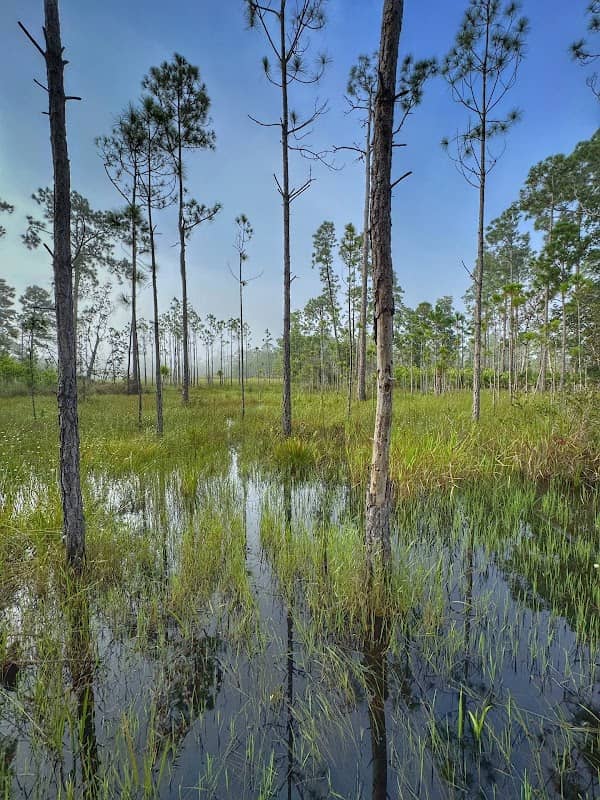 D Ranch Preserve - Image 2
