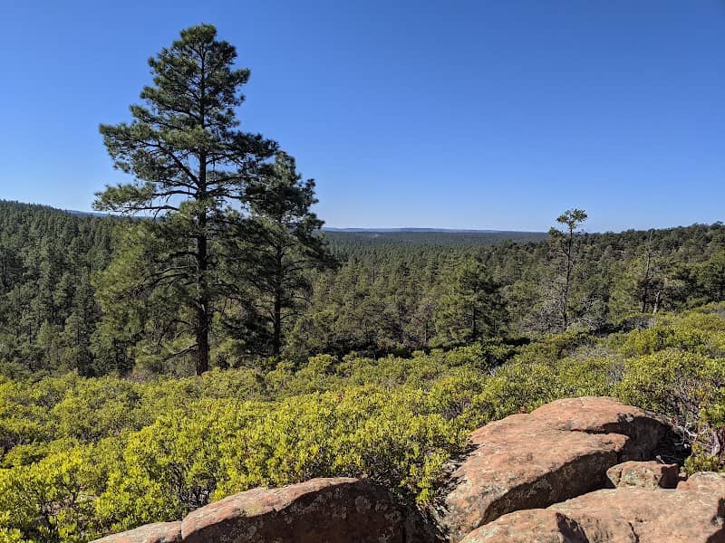 Mogollon Rim Trail - Image 3