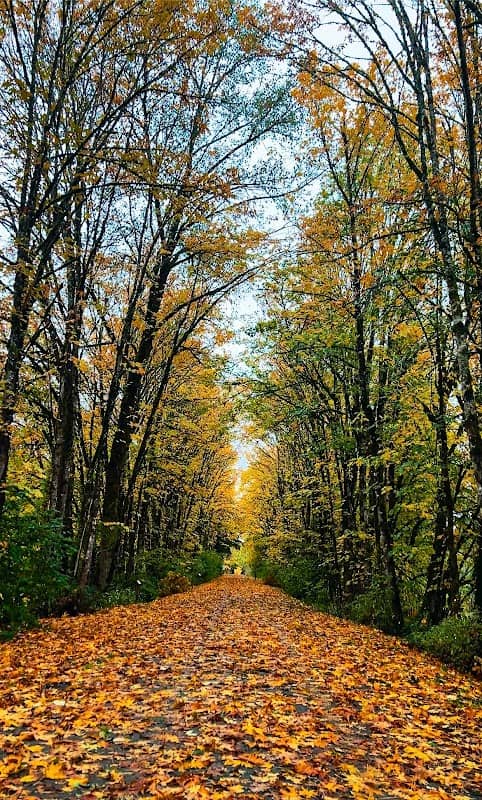 Nick Loutsis Park - Image 1