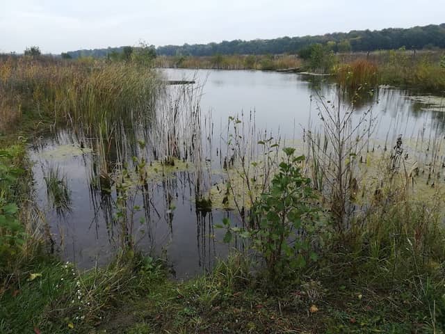 Wabesee - Image 1