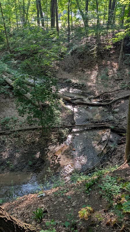 McCoy Creek Trail - Image 1