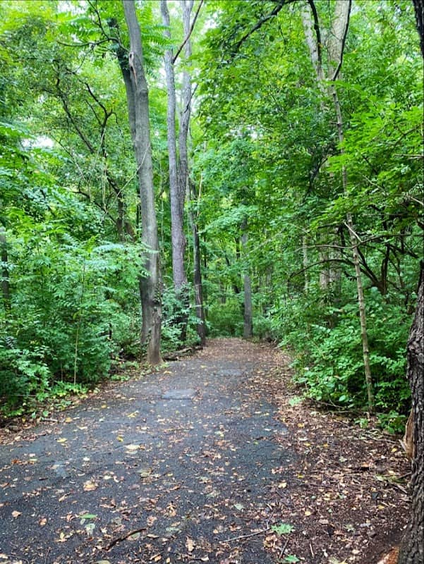 McCoy Creek Trail - Image 2