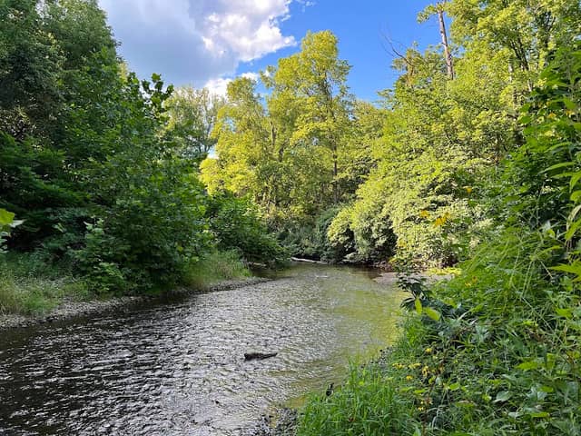 Wea Creek Park - Image 2