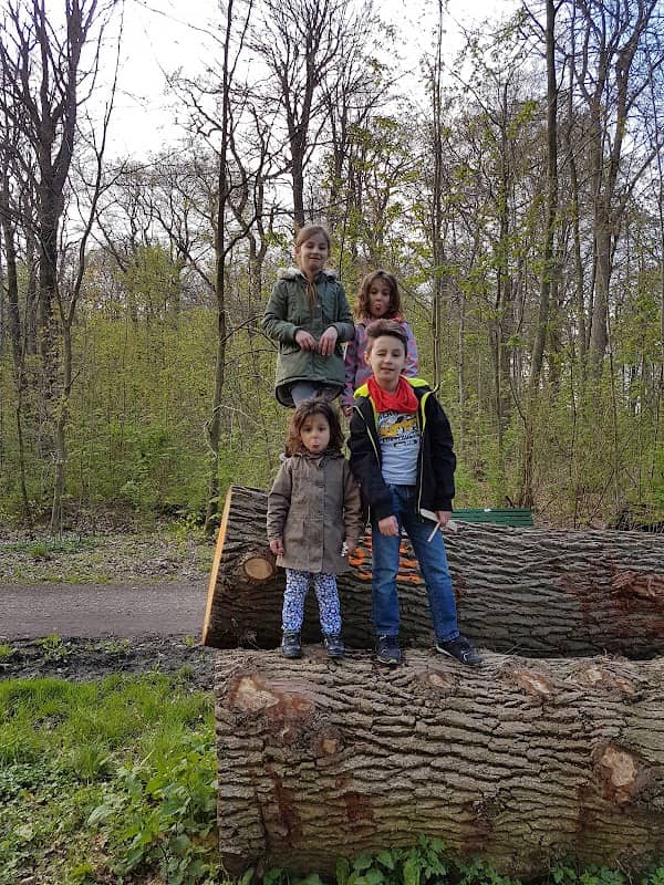 Kriegerdenkmal - Image 1
