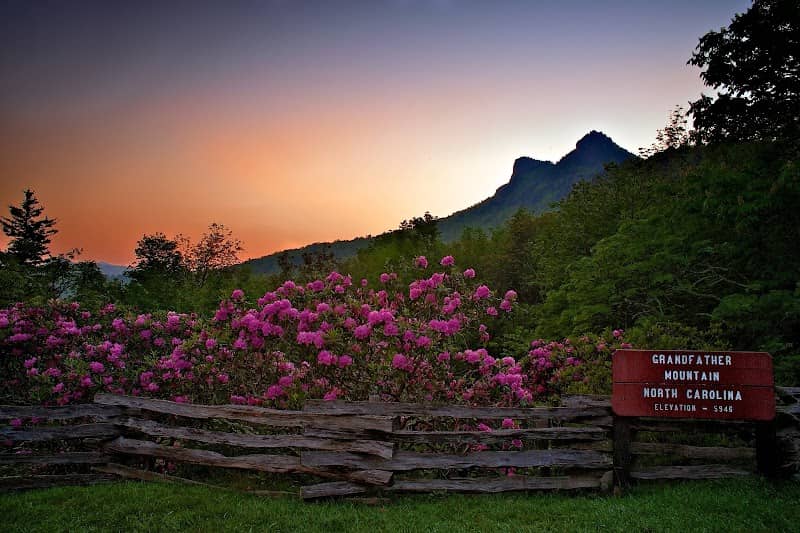 Grandfather Mountain - Image 3