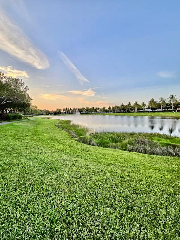Savanna Commons - Image 2
