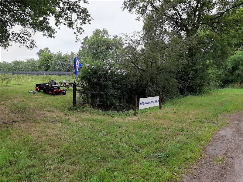 Staatsbosbeheer Noard Fryslân - Image 1