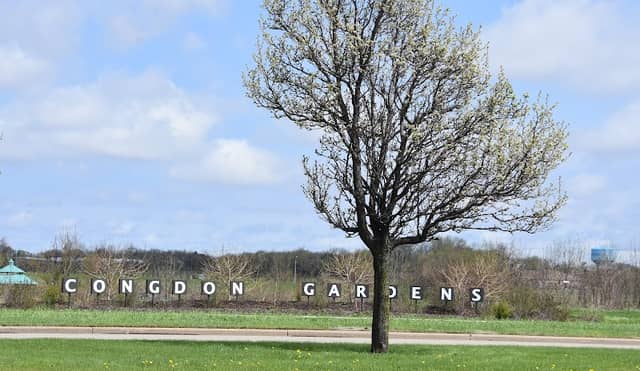 Congdon Park - Image 2