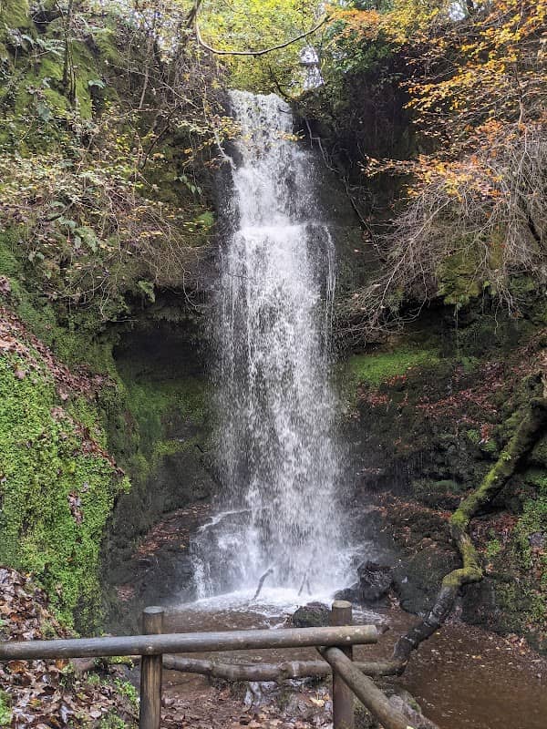 The Glen Park - Image 2