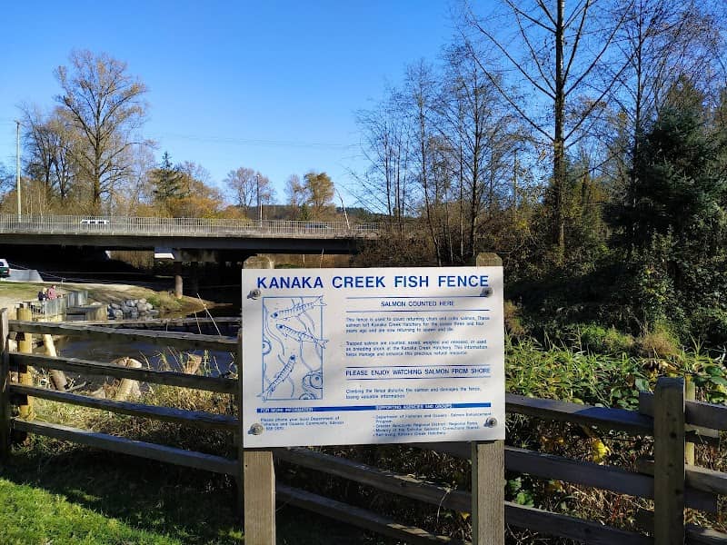 Kanaka Creek Park Fish Fence - Image 1