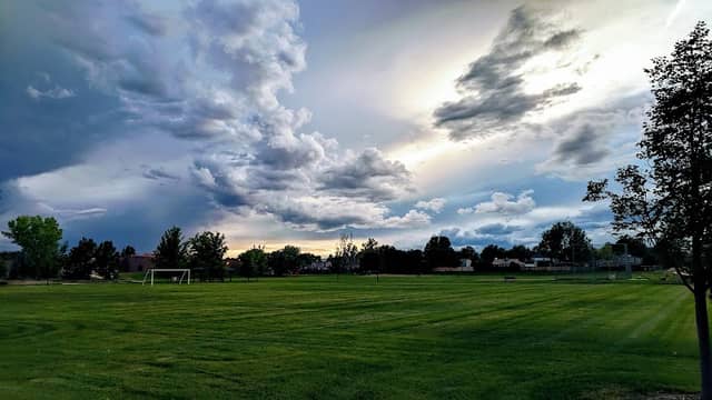 Ryan Park - Image 1