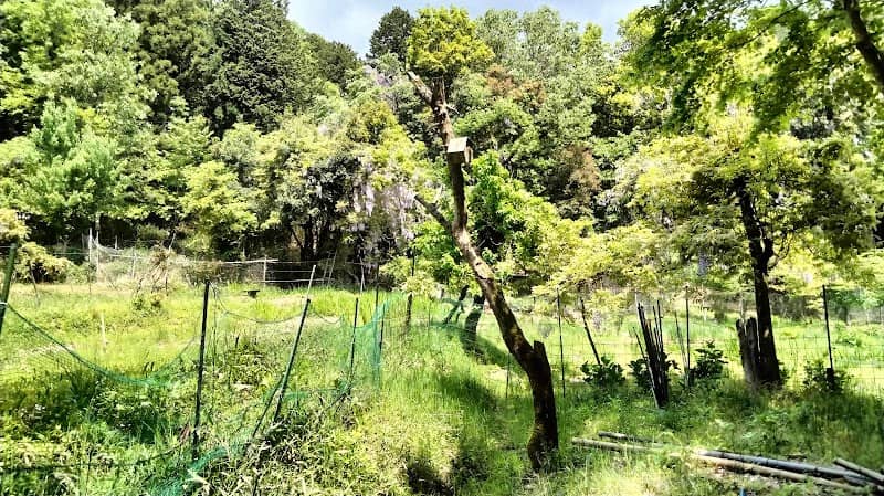 Ichibusatoyama Park - Image 2