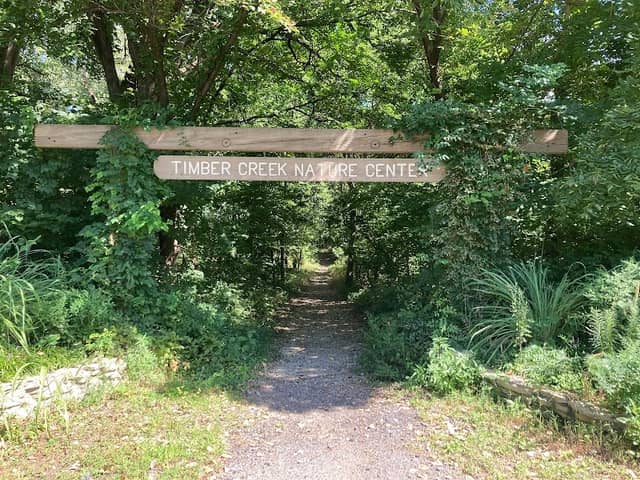 Island Park Nature Trail - Image 3