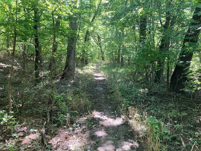 Island Park Nature Trail - Image 2
