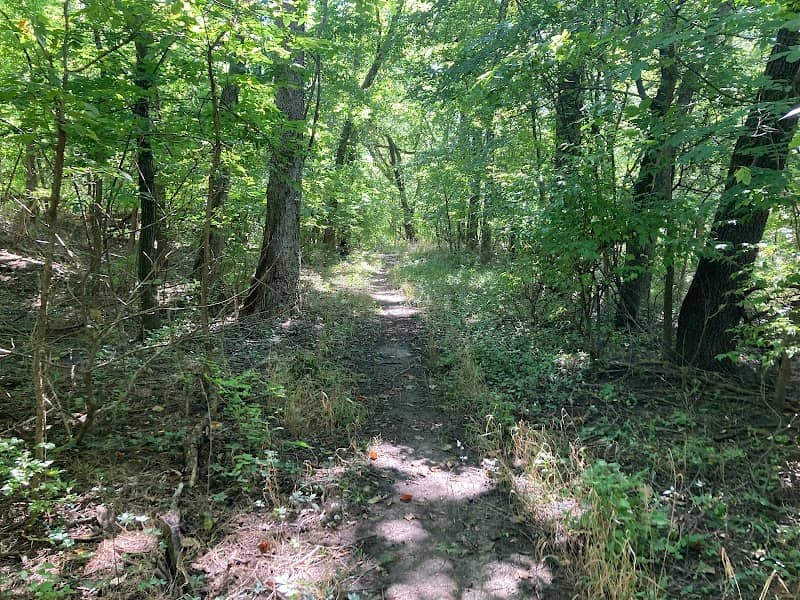 Island Park Nature Trail - Image 2