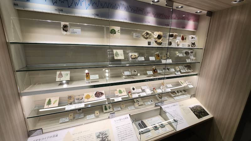 琵琶湖博物館企画展示室 - Image 2
