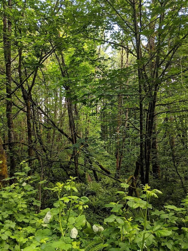 Coopers View Park - Image 2