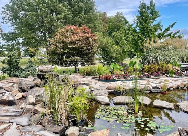 SWIMGA Display Garden - Image 1