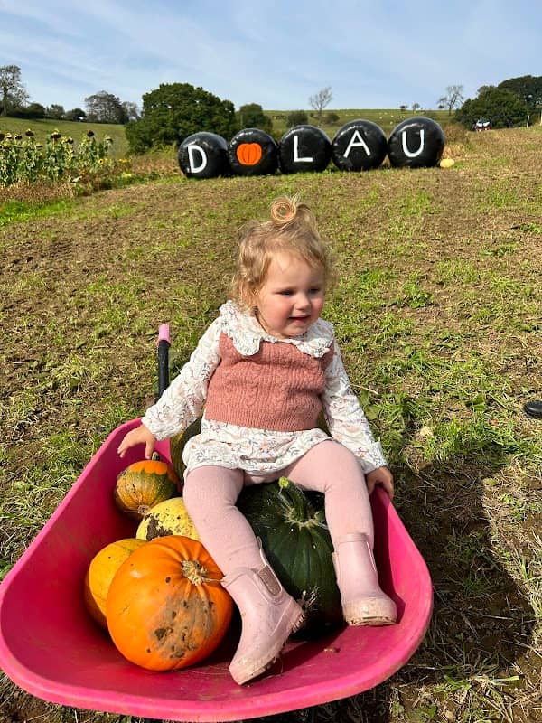 The Bridgend Pumpkin Patch - Image 1