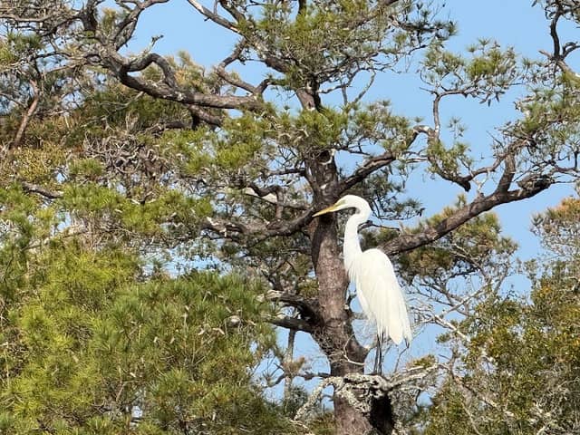 Ibis Lake Sanctuary - Image 1