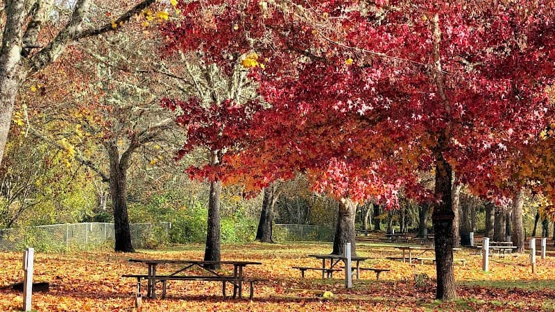 Gibson Hill Park - Image 2