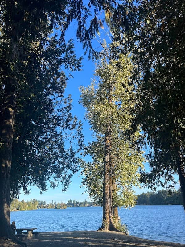 Scout's Point - Image 1