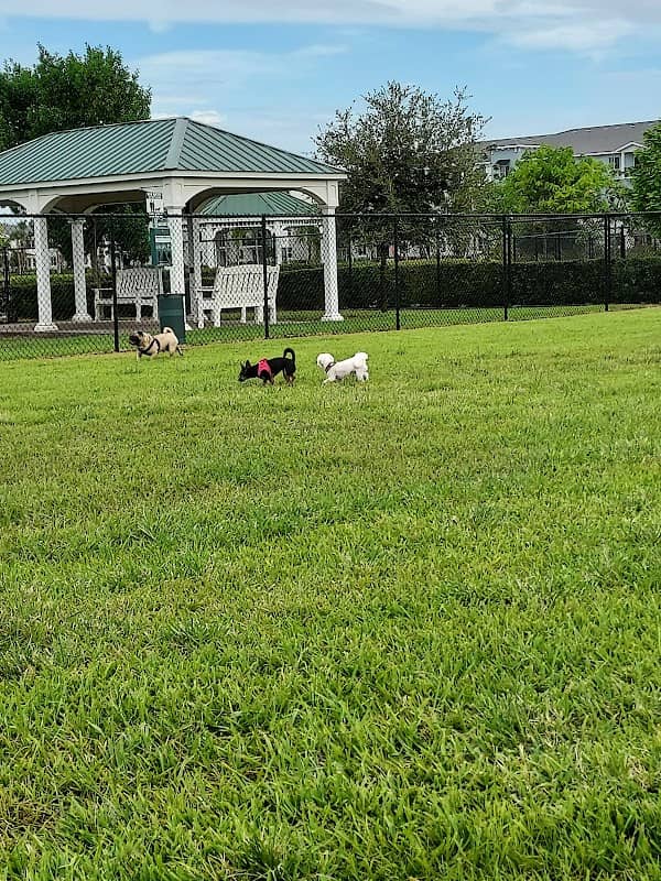 Boynton Village Park and Dog Park - Image 1