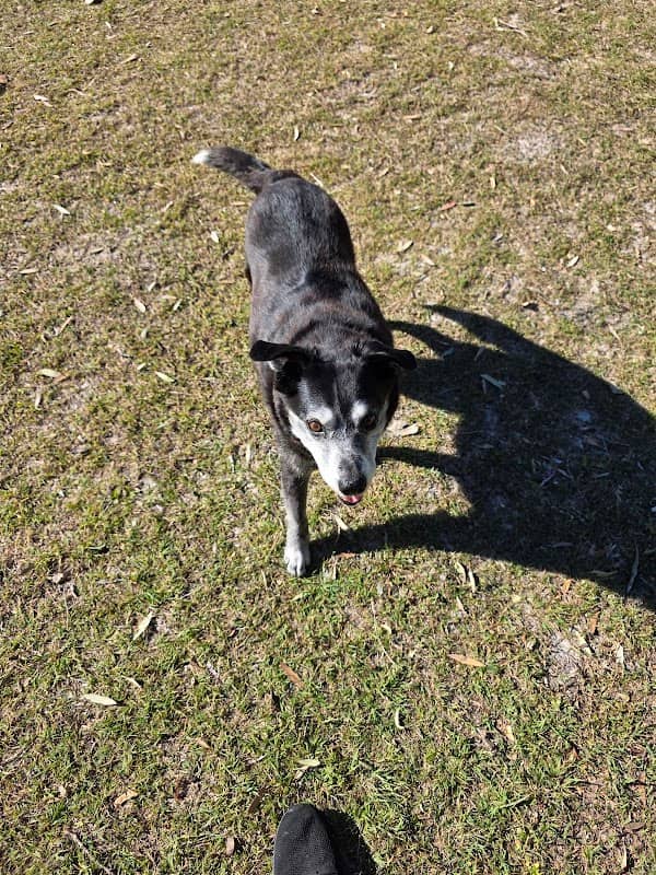 Reedy Creek Park - Image 2