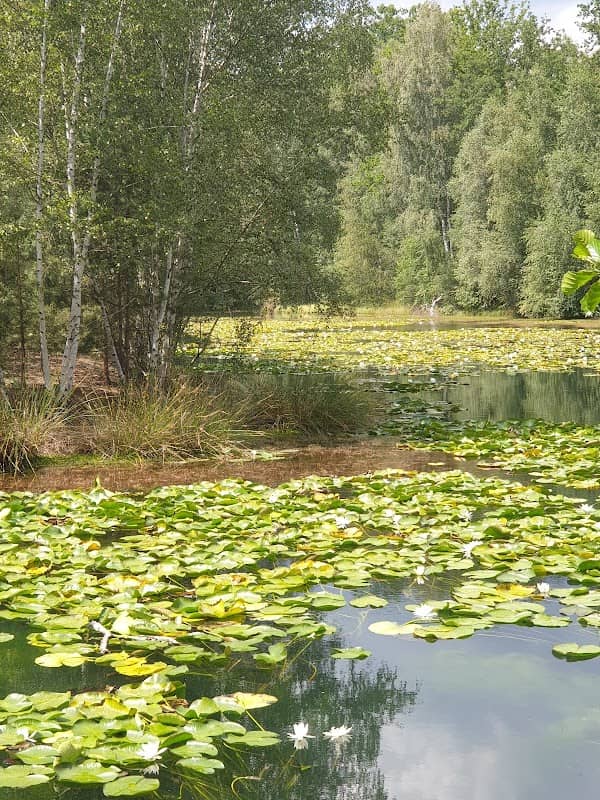 Vitriolteich - Image 2