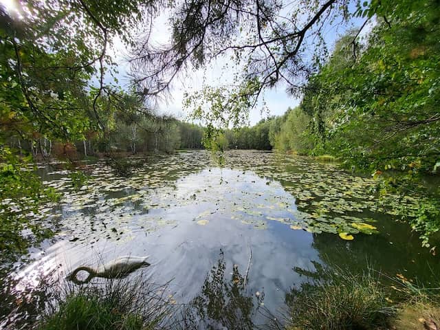 Vitriolteich - Image 1