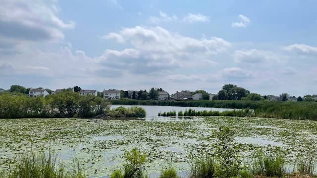 Willow Bay Park - Image 2