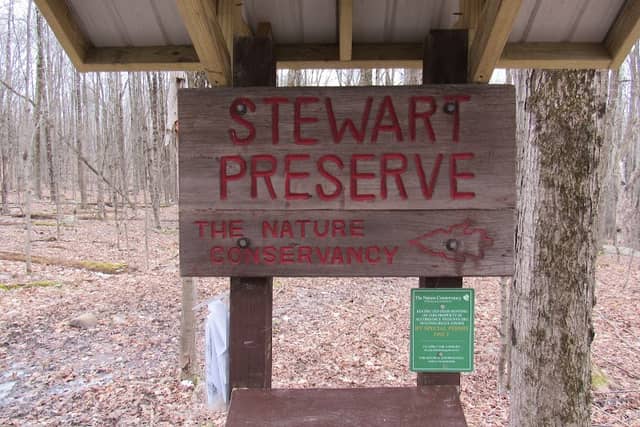 Stewart Preserve - Image 2