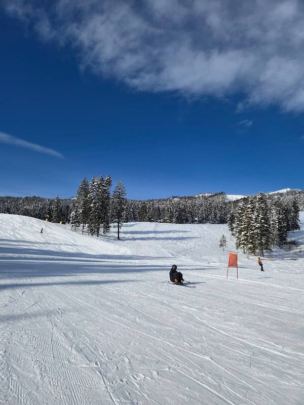 Tamarack Express - Image 1