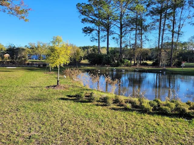 Northside Park - Image 1