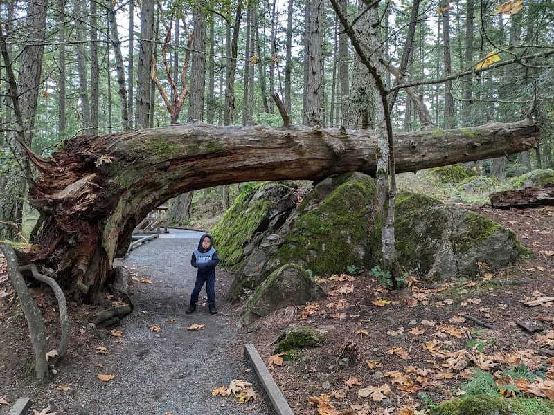 Francis/King Regional Park - Image 1