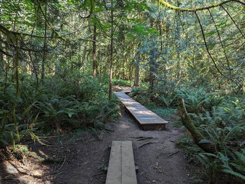 Francis/King Regional Park - Image 2