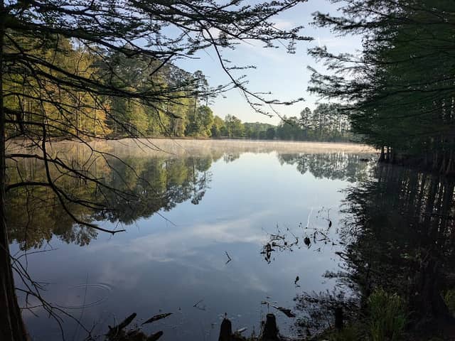 South River Trail Trailhead - Panola Mountain - Image 2