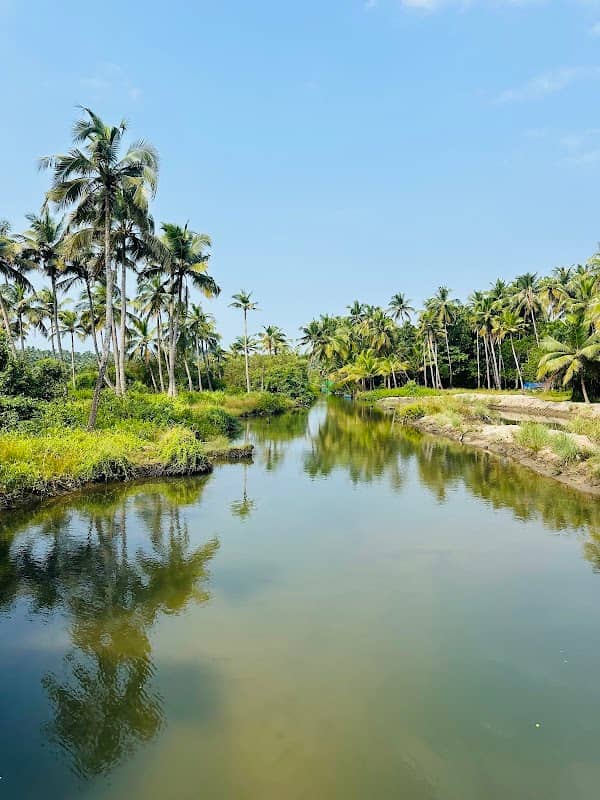 Ayichira kolakkad view point - Image 1