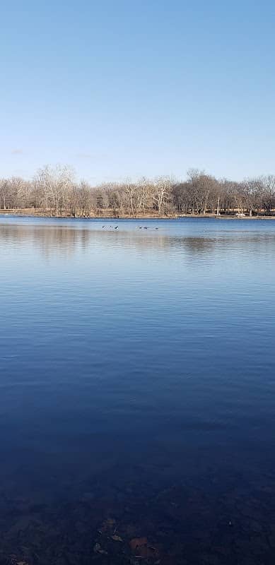 Old Reid Park - Image 2