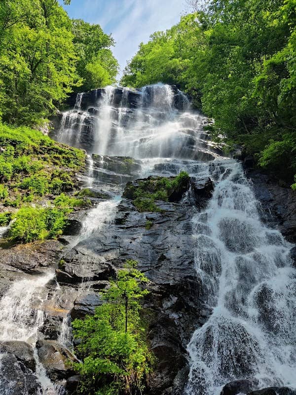Amicalola Falls State Park - Image 2