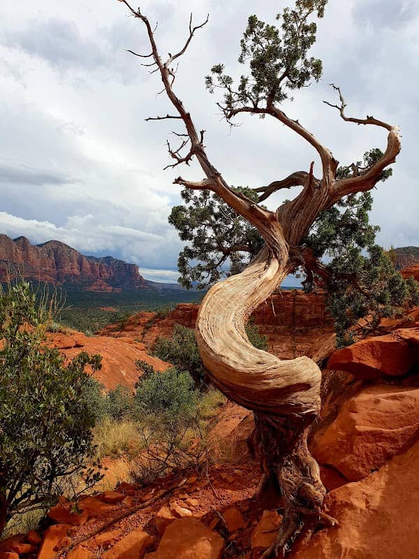 Cathedral Rock - Image 1