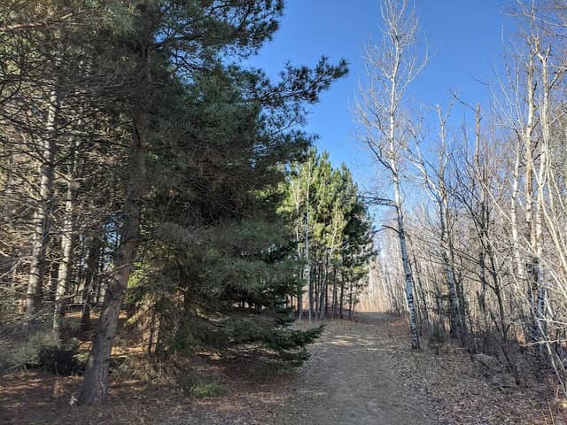 North Woods Preserve - Image 1