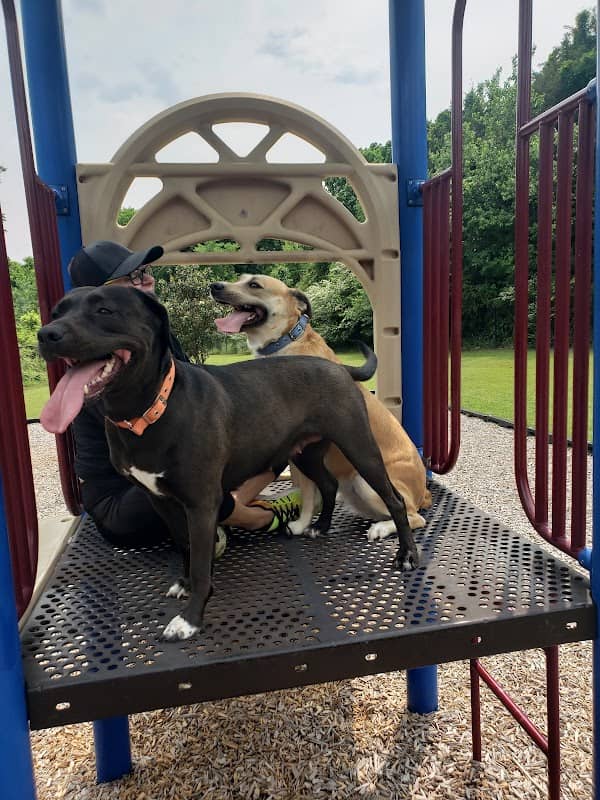 Oak Creek Park - Image 1