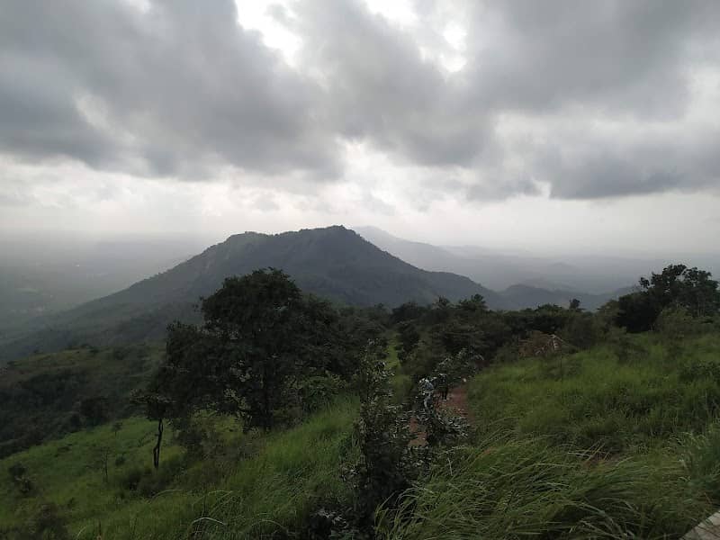 Kodikuthimala Watch Tower - Image 1